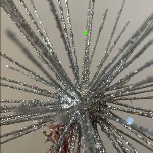 Meet your Posher, Rozina